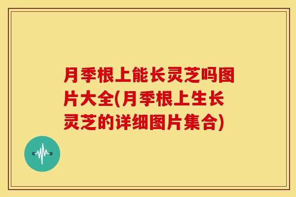 月季根上能长灵芝吗图片大全(月季根上生长灵芝的详细图片集合)