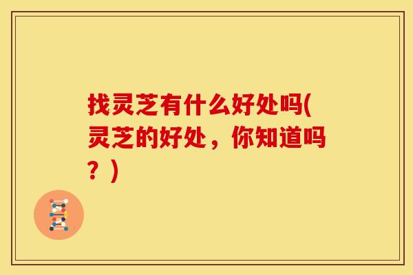 找灵芝有什么好处吗(灵芝的好处,你知道吗?)