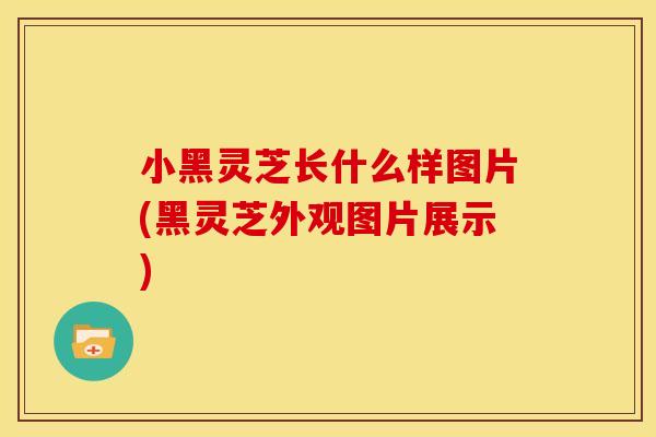 小黑灵芝长什么样图片(黑灵芝外观图片展示)