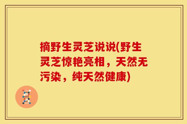 摘野生灵芝说说(野生灵芝惊艳亮相,天然无污染,纯天然健康)