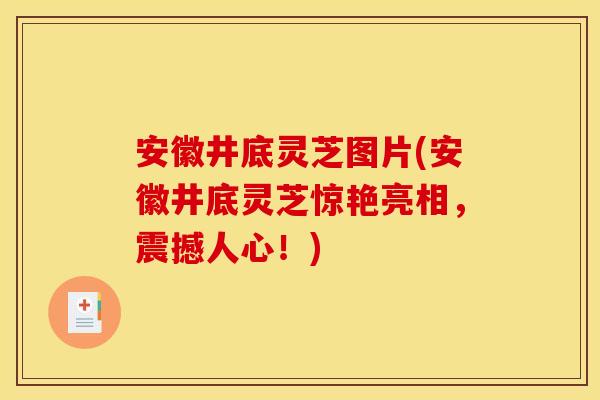 安徽井底灵芝图片(安徽井底灵芝惊艳亮相,震撼人心!)