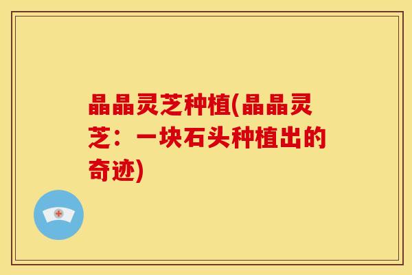 晶晶灵芝种植(晶晶灵芝：一块石头种植出的奇迹)