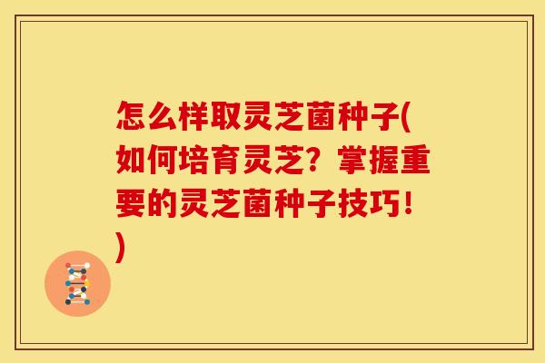 怎么样取灵芝菌种子(如何培育灵芝？掌握重要的灵芝菌种子技巧！)