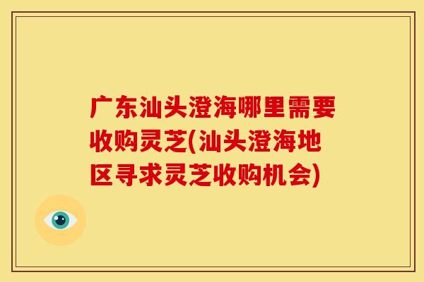 广东汕头澄海哪里需要收购灵芝(汕头澄海地区寻求灵芝收购机会)