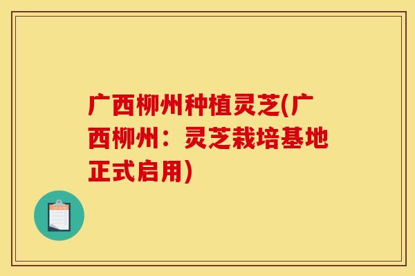 广西柳州种植灵芝(广西柳州:灵芝栽培基地正式启用)