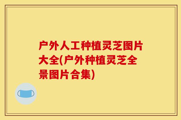 户外人工种植灵芝图片大全(户外种植灵芝全景图片合集)