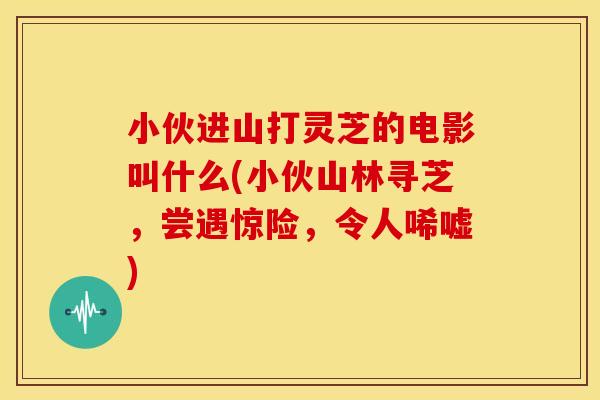 小伙进山打灵芝的电影叫什么(小伙山林寻芝,尝遇惊险,令人唏嘘)