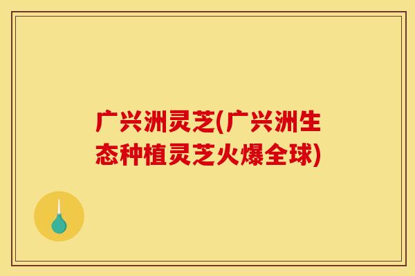 广兴洲灵芝(广兴洲生态种植灵芝火爆全球)