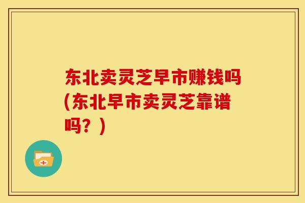 东北卖灵芝早市赚钱吗(东北早市卖灵芝靠谱吗?)
