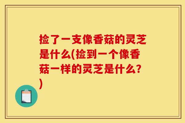 捡了一支像香菇的灵芝是什么(捡到一个像香菇一样的灵芝是什么？)