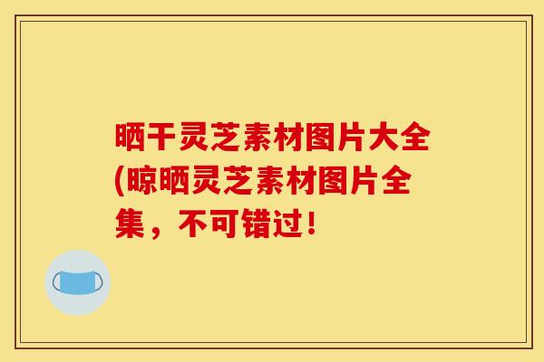 晒干灵芝素材图片大全(晾晒灵芝素材图片全集,不可错过!