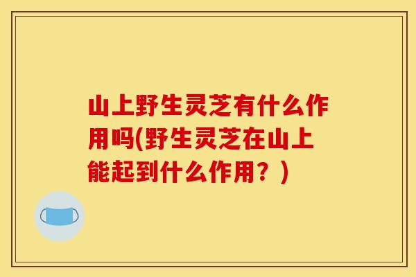 山上野生灵芝有什么作用吗(野生灵芝在山上能起到什么作用?)