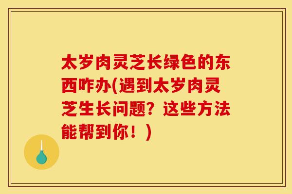 太岁肉灵芝长绿色的东西咋办(遇到太岁肉灵芝生长问题?这些方法能帮到你!)
