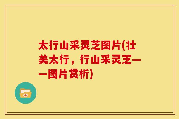 太行山采灵芝图片(壮美太行，行山采灵芝——图片赏析)