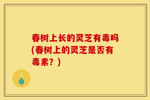 春树上长的灵芝有毒吗(春树上的灵芝是否有毒素?)