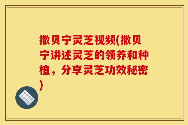 撒贝宁灵芝视频(撒贝宁讲述灵芝的领养和种植,分享灵芝功效秘密)