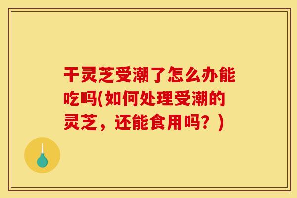 干灵芝受潮了怎么办能吃吗(如何处理受潮的灵芝,还能食用吗?)