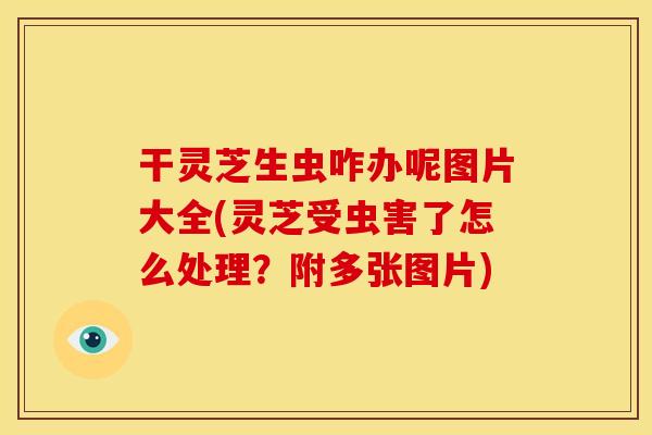 干灵芝生虫咋办呢图片大全(灵芝受虫害了怎么处理？附多张图片)