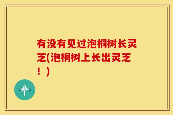 有没有见过泡桐树长灵芝(泡桐树上长出灵芝!)