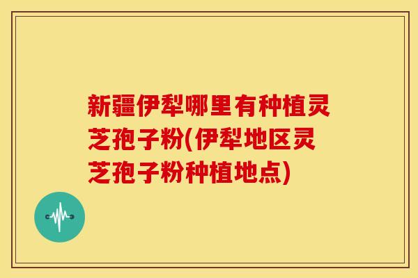 新疆伊犁哪里有种植灵芝孢子粉(伊犁地区灵芝孢子粉种植地点)