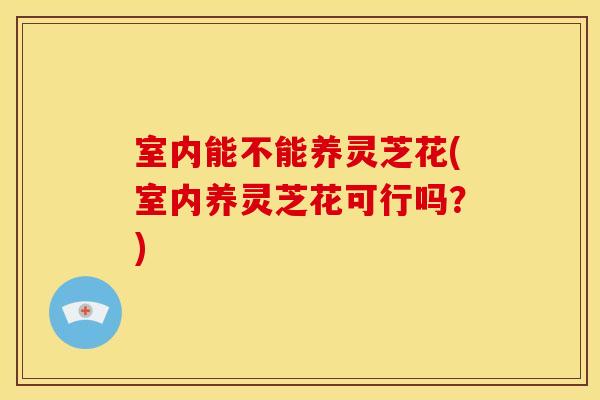 室内能不能养灵芝花(室内养灵芝花可行吗？)