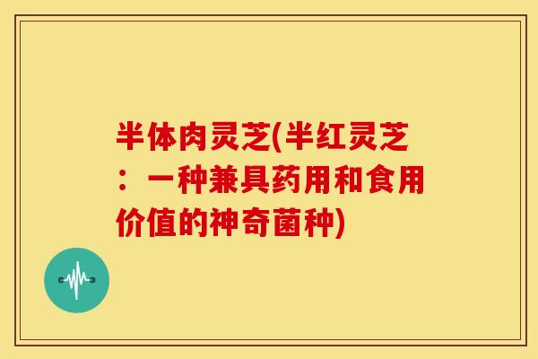 半体肉灵芝(半红灵芝:一种兼具药用和食用价值的神奇菌种)