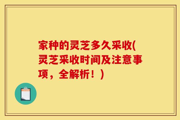 家种的灵芝多久采收(灵芝采收时间及注意事项,全解析!)