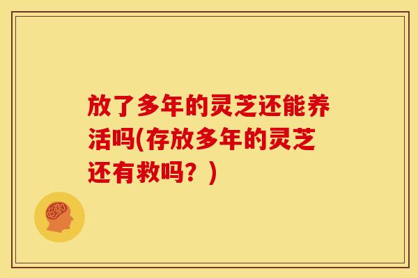 放了多年的灵芝还能养活吗(存放多年的灵芝还有救吗？)