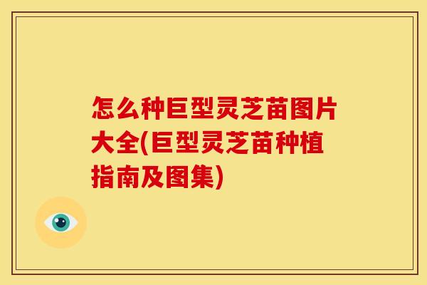 怎么种巨型灵芝苗图片大全(巨型灵芝苗种植指南及图集)