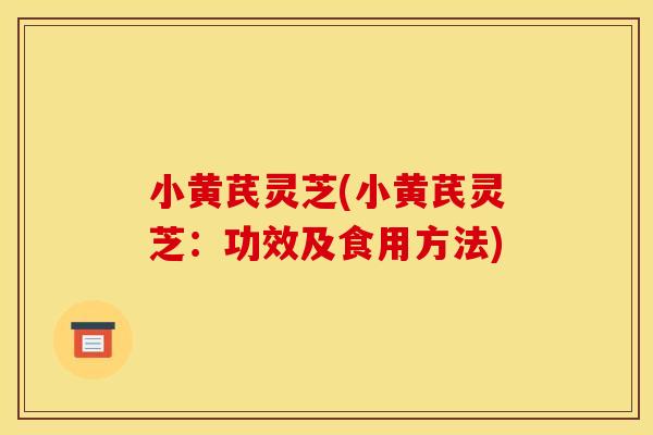 小黄芪灵芝(小黄芪灵芝:功效及食用方法)