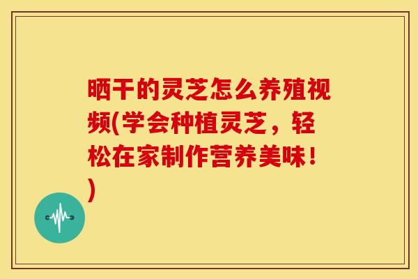 晒干的灵芝怎么养殖视频(学会种植灵芝,轻松在家制作营养美味!)