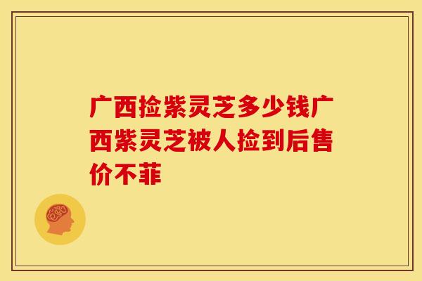 广西捡紫灵芝多少钱广西紫灵芝被人捡到后售价不菲