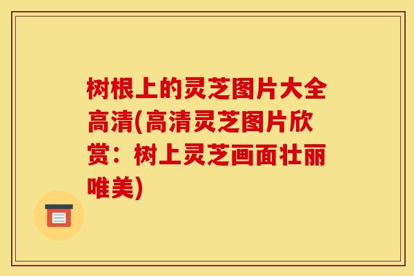 树根上的灵芝图片大全高清(高清灵芝图片欣赏:树上灵芝画面壮丽唯美)
