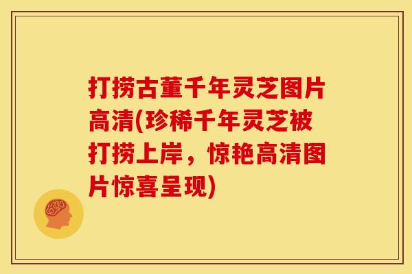 打捞古董千年灵芝图片高清(珍稀千年灵芝被打捞上岸,惊艳高清图片惊喜呈现)