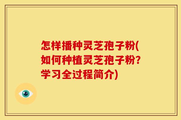怎样播种灵芝孢子粉(如何种植灵芝孢子粉?学习全过程简介)