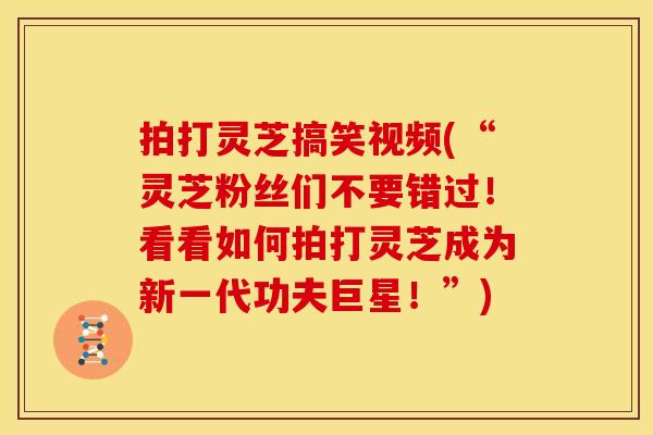 拍打灵芝搞笑视频(“灵芝粉丝们不要错过!看看如何拍打灵芝成为新一代功夫巨星!”)