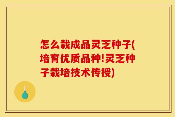 怎么栽成品灵芝种子(培育优质品种!灵芝种子栽培技术传授)