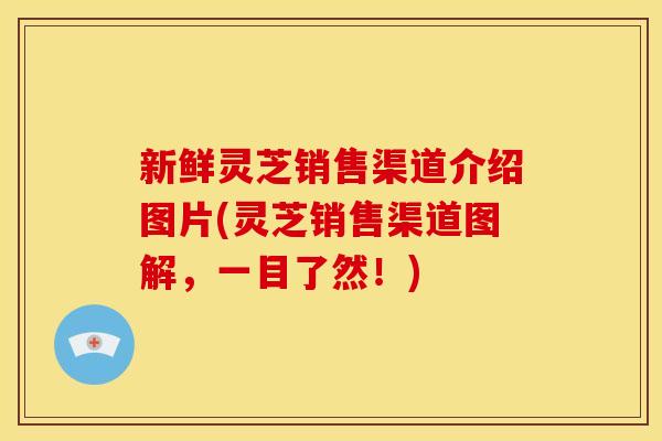 新鲜灵芝销售渠道介绍图片(灵芝销售渠道图解,一目了然!)