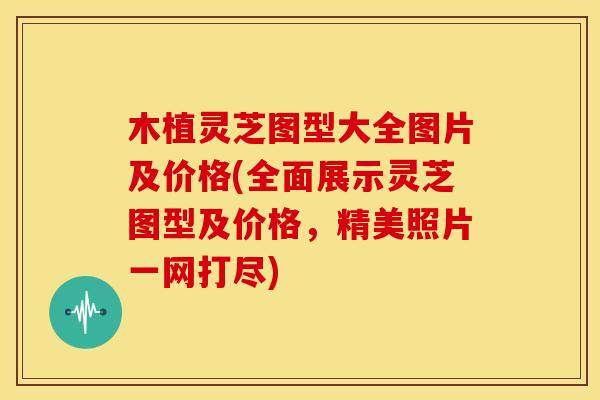 木植灵芝图型大全图片及价格(全面展示灵芝图型及价格,精美照片一网打尽)