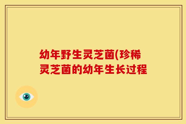 幼年野生灵芝菌(珍稀灵芝菌的幼年生长过程