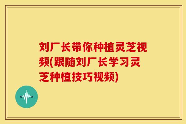刘厂长带你种植灵芝视频(跟随刘厂长学习灵芝种植技巧视频)