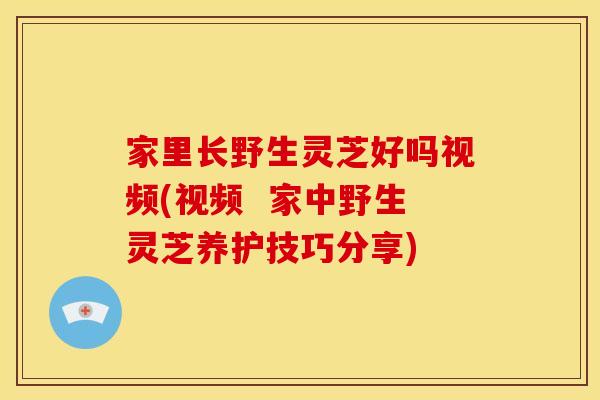 家里长野生灵芝好吗视频(视频 家中野生灵芝养护技巧分享)