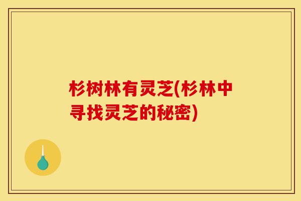 杉树林有灵芝(杉林中寻找灵芝的秘密)