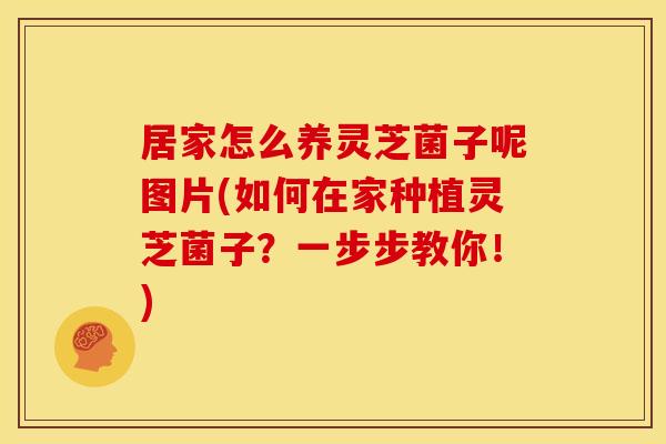 居家怎么养灵芝菌子呢图片(如何在家种植灵芝菌子?一步步教你!)