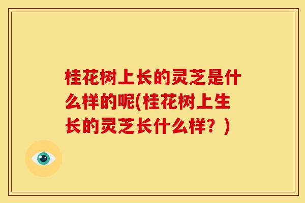 桂花树上长的灵芝是什么样的呢(桂花树上生长的灵芝长什么样?)