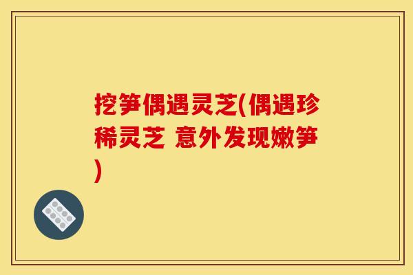 挖笋偶遇灵芝(偶遇珍稀灵芝 意外发现嫩笋)