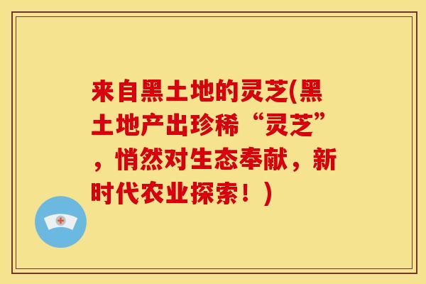 来自黑土地的灵芝(黑土地产出珍稀“灵芝”，悄然对生态奉献，新时代农业探索！)