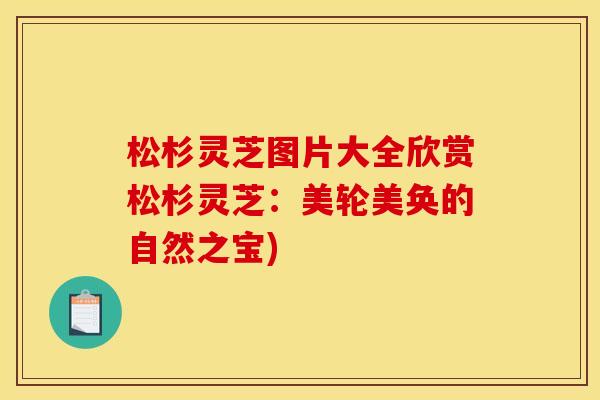 松杉灵芝图片大全欣赏松杉灵芝:美轮美奂的自然之宝)