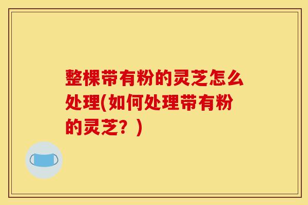 整棵带有粉的灵芝怎么处理(如何处理带有粉的灵芝?)
