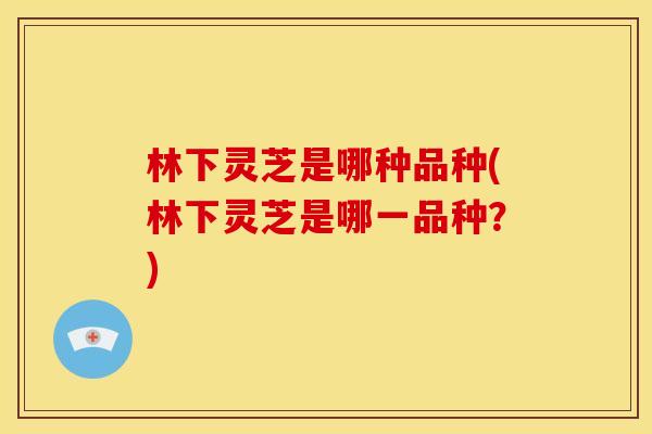 林下灵芝是哪种品种(林下灵芝是哪一品种?)